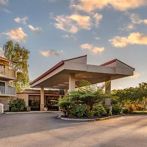 Best Western Plus Garden Court Inn